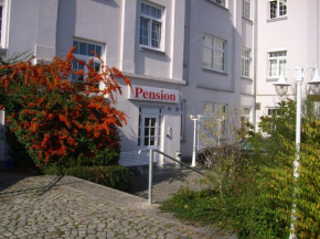 Отель Pension an der Weisseritz  Дрезден